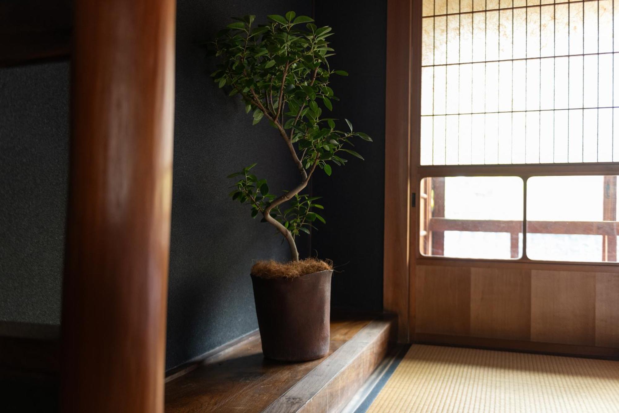 篠山城下町ゲストハウス Quolo Tamba-Sasayama Zewnętrze zdjęcie